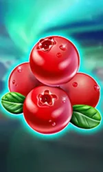 Winterberries