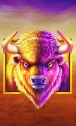 Buffalo King